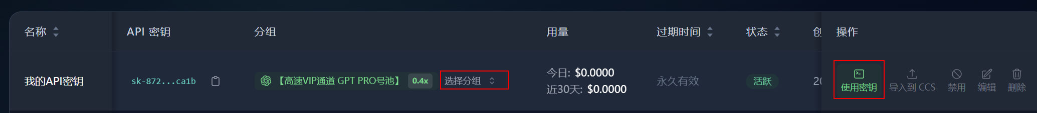API 密钥列表中的使用密钥按钮