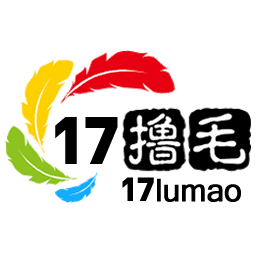 17撸毛 Logo